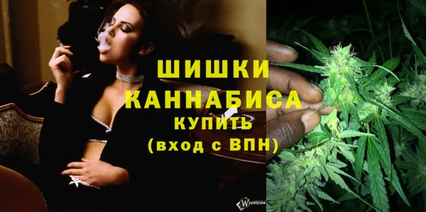 PSILOCYBIN Арсеньев