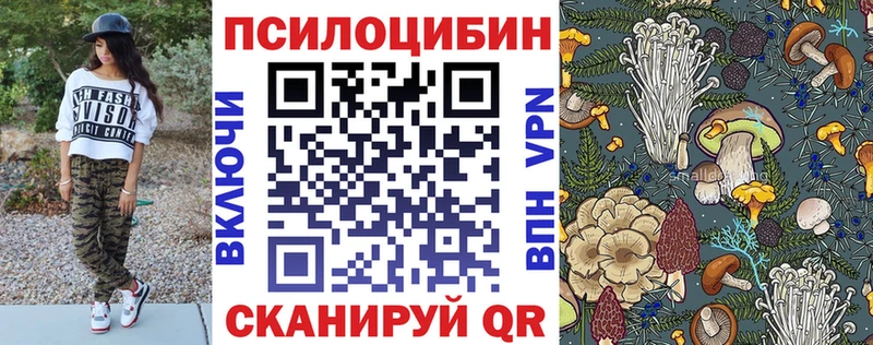 Псилоцибиновые грибы Psilocybe  Купить где  Моздок 